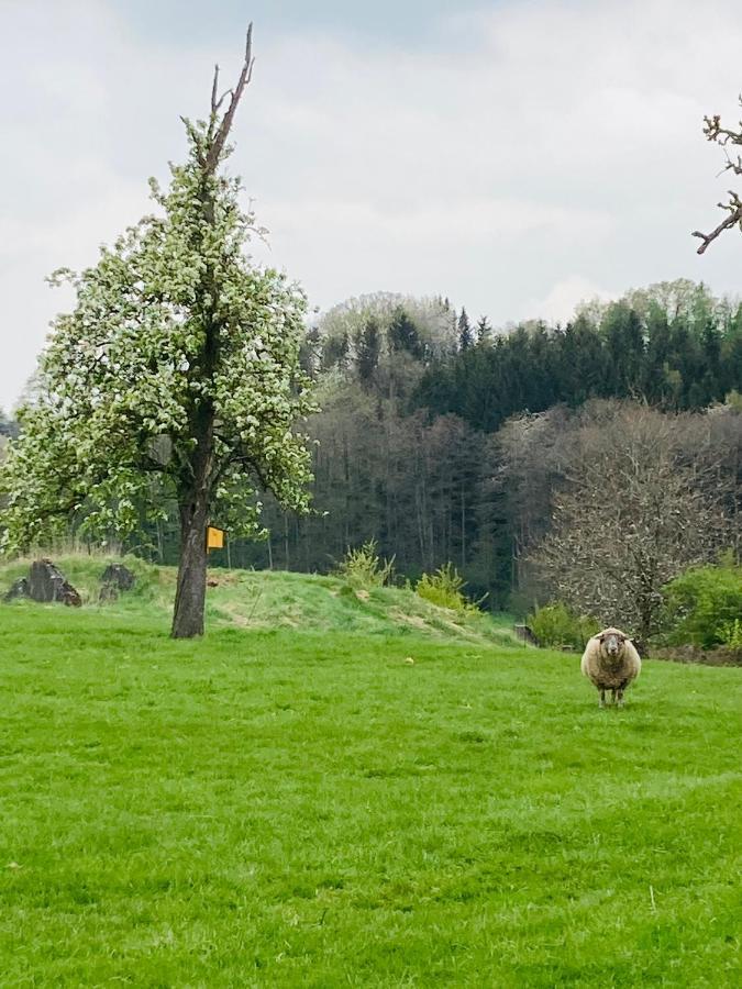Appartamento Gut Kalkhaeuschen, Ein Ort Mit Geschichte Aquisgrana Esterno foto